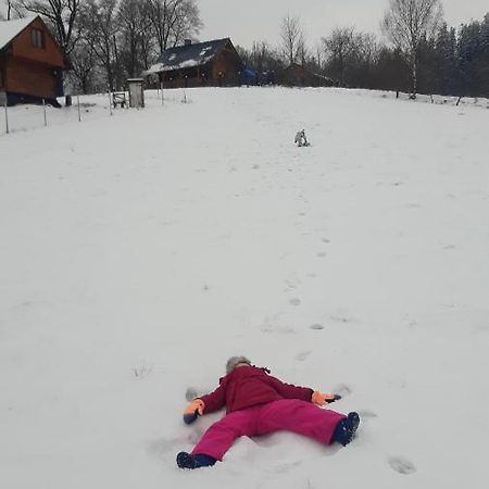 Przytulne Na Poddaszu Jelenia Góra Eksteriør billede